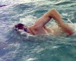 are you know swim?? - are you know swim?? if yes will you swim with shark???