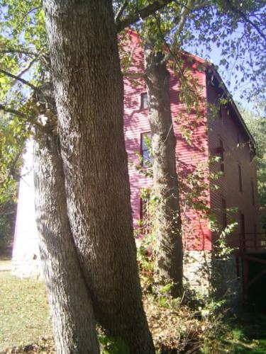 Alley Springs Mill - This is Alley Springs Mill..a beautiful little area about 30 minutes from my home..a long long time ago there was a town centered around this mill..most of the towns men worked in the mill, but there was also a post office, a schoolhouse, some homes, a church, etc...now it is a preserved historical site.  The schoolhouse and the mill are all that remain of the town, but the springs, who knows how long they have been around.  It is a beautiful place to visit..the springs are gorgeous!