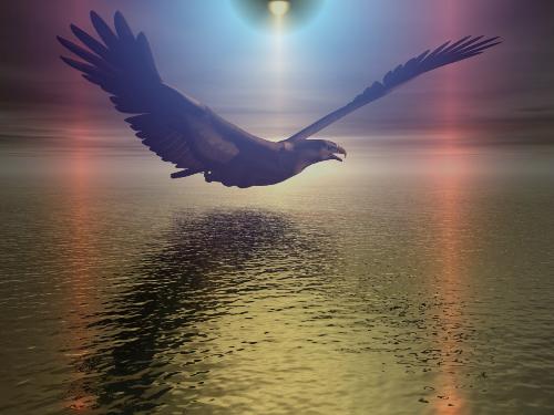 eagle - ^__^
