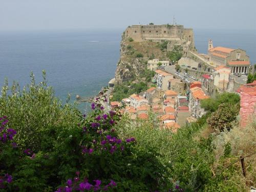 scilla again - ^__^