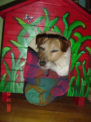 Home made dog house - This is my Jack Russell terrier looking very sleepy in the dog house I made him out of a kit. It took me ages to paint and decorate it and now it lives under the kitchen table. He loves to go in there when I'm in the kitchen.
