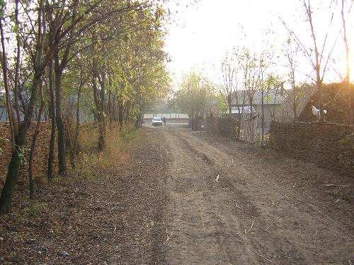 Street in TR - This is how a street looks like in a Romanian village