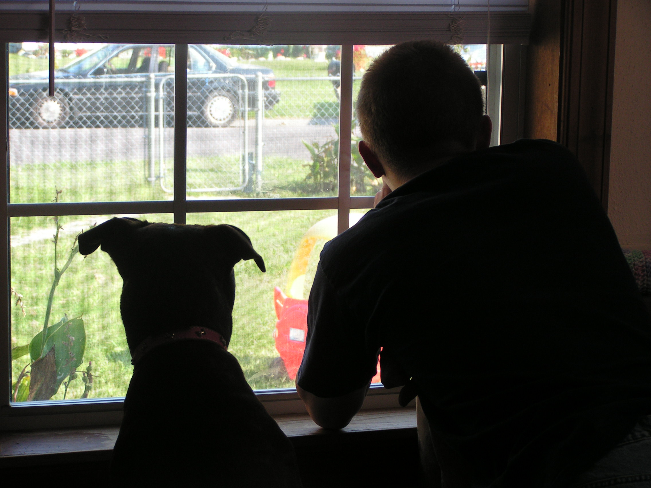 Mocca and Daddy - I don't know what they're looking at, but they were just so cute I had to snap a picture!