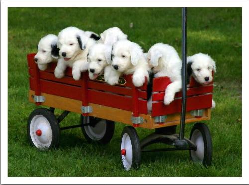 FAMILY RIDE! - SO MUCH FUN WHEN EVERYBODY BORN WITH YOU IS AROUND. FEELS AS IF WORLD IS A FINE PLACE TO LIVE!