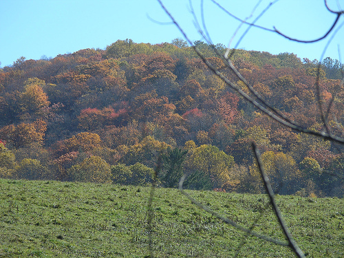 Colorful scenes of north carolina pt. 2 - Colorful Hillside