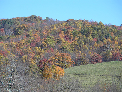 Colorful scenes of north carolina pt. 3 - Split Rail Frame