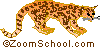 Ocelot - Ocelot:- Ocelots are wild cats from the Americas.