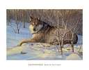 wolf - wolf