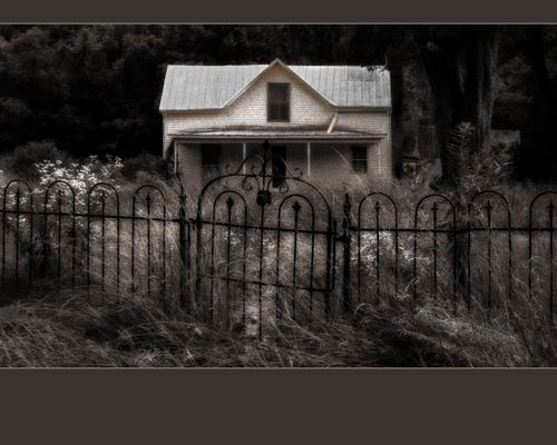 Old Homestead - This is really not my house. I took this in a very small town in Kentucky. I turned it into a sepia toned image to make it look like the old days. It was taken in the middle of the day. Not even sure this house is still there it just looked neat to me.