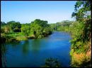 Belize - scenic Belize...river and jungle