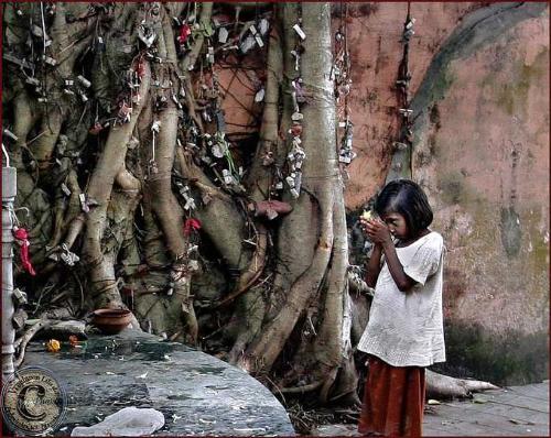 Desire Tree - A young girl praying at the desire tree