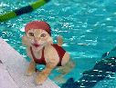 Cat Swimmer - From Eric's Funny Pics site
