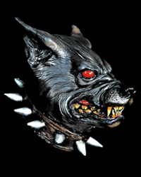 My image - DarckDog