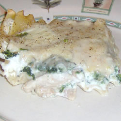Chicken Lasagna - White Cheese Chicken Lasagna
