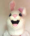 Rabbit - Bunny