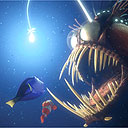 Finding Nemo - Finding Nemo