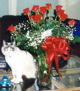 Ding by Roses - Ding-A-Ling by a bouquet of roses