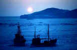 winters - scene of a winter morning