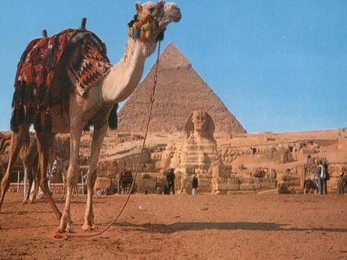 Wonders of the world - Wonders of the world
