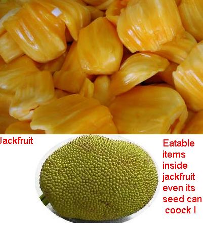 Jackfruit - Jackfruit is a summar season fruit in Asian region, I do not know it grows other regions too! It is very healty. This fruit is National fruit of Bangladesh. Its seed can coock with hen, goat and biff's meat and otherway too.