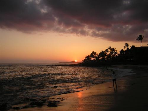 Wallpaper - Wallpapers - Natures