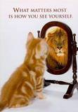 self image - Self image cat