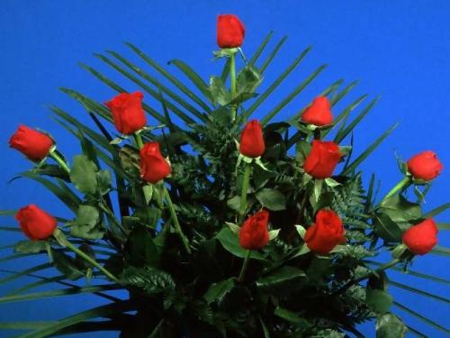 XFLOWER9 - XFLOWER9