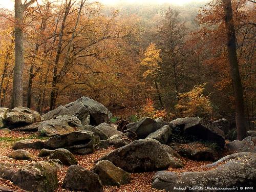 xnature23_1024 - xnature23_1024