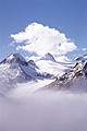 nature - wow.look at this wonderful image & feel the chillness