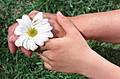 flower - it has brought two minds close.