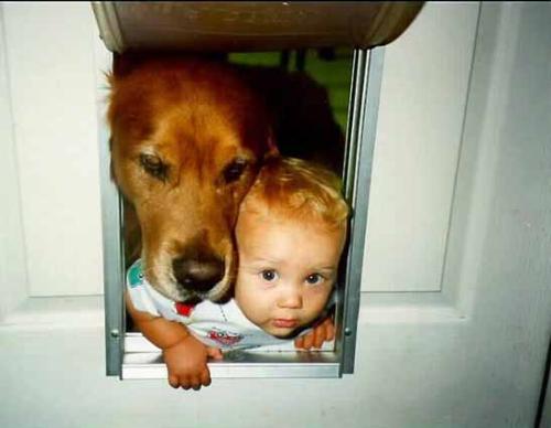 baby and dog - baby and dog