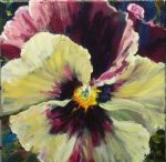 pansy flower - pansy flower