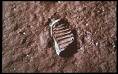apollo images - Index of history