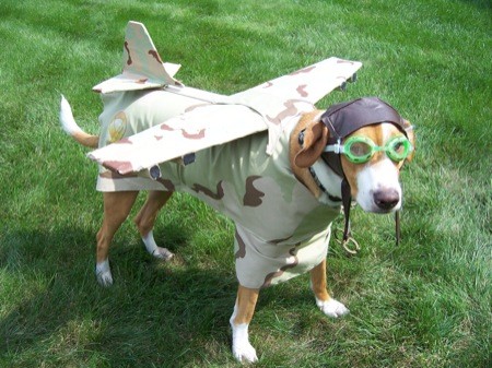 dogfighter - dogfighter