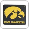 GO, HAWKEYES! - I've been an Iowa Hawkeye as far back as I can remember. My dad used to watch every game on the old black and white TV, and he loved them no matter how often they lost.  Like father, like daughter, I guess.