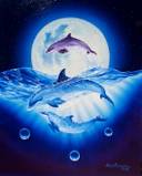 dolphins - dolphins