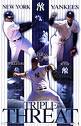 The Yankees - the new york yankees