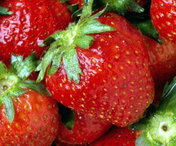 strawberries - strawberries