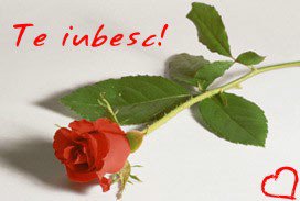 i love u  - love