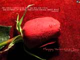 a rose for my mylot friends - a rose for my mylot friends