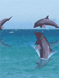 rf5ftr5f - tfvr5vrf5