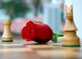 chess - chess
