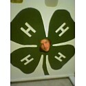 4h - 4h