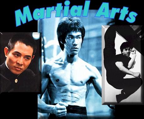 all best fighters - bruce lee and get lee , jakie shan