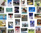 sports - sports sports - sports