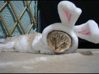 cutieypie! - Great Easter costume.