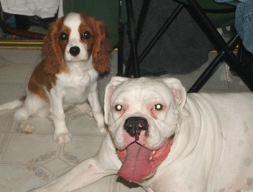 Mush and Pippi - The first night together.