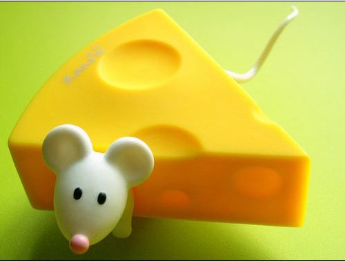 Cheese - Cheese