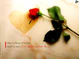 What's love.??? - What's love.???