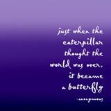 Butterfliy - Quote fron caterpillar to butterfly